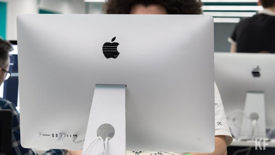 Минтруд РФ предложил определить статус самозанятых в законе &laquo;О занятости населения&raquo;.