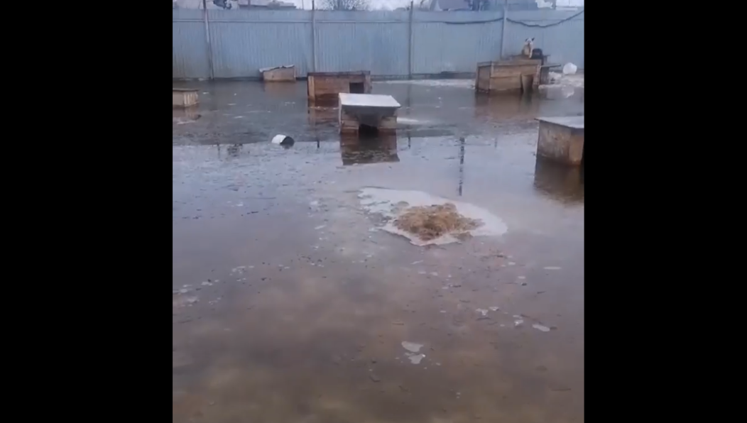 Волонтерам нужна срочная помощь мужчин.