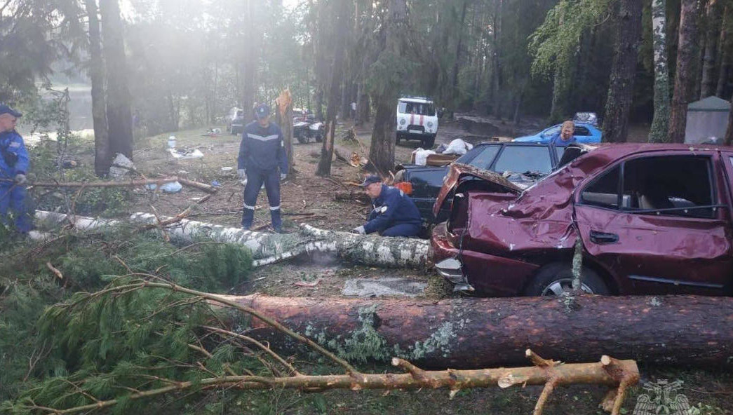 Всего в ПФО от непогоды погибли 10 человек и 76 пострадали.