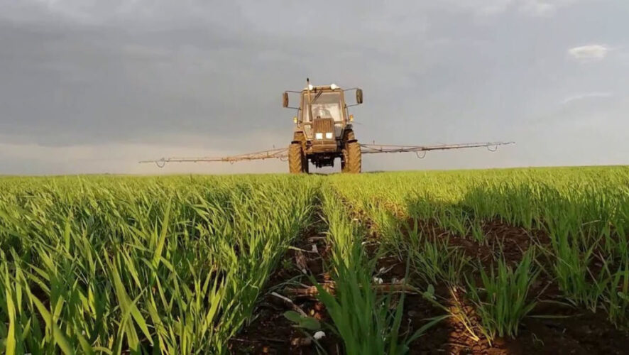 Также найден такие вредители