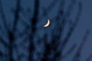 Светильник Джека из тыквы