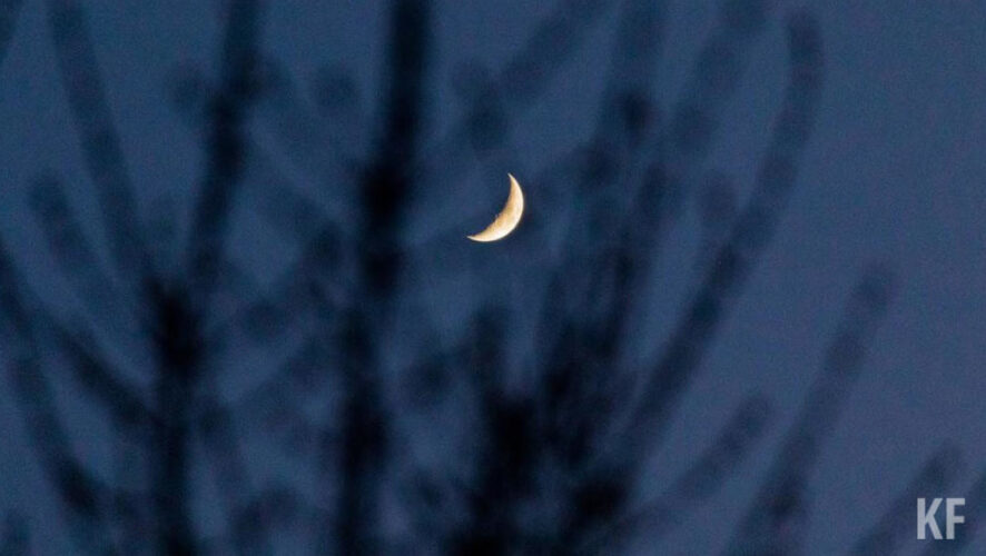 Светильник Джека из тыквы