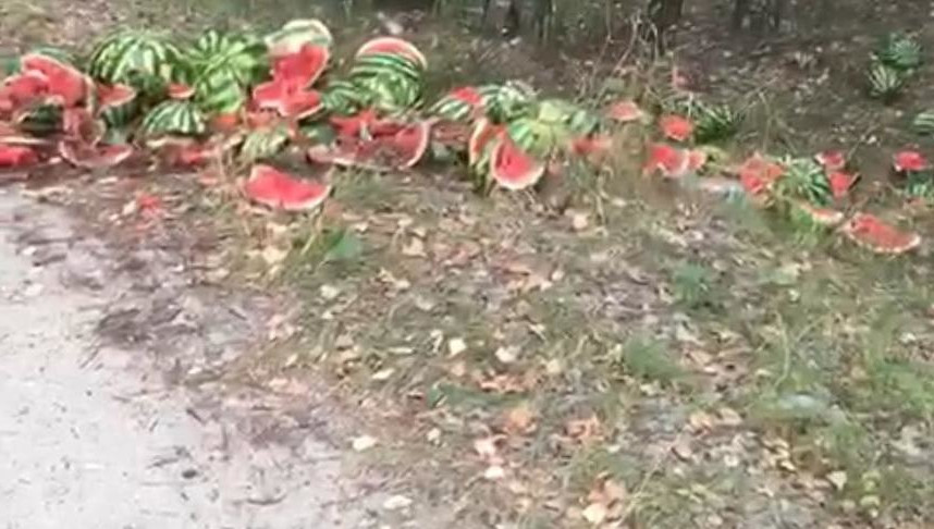 Когда водитель увидел местных жителей