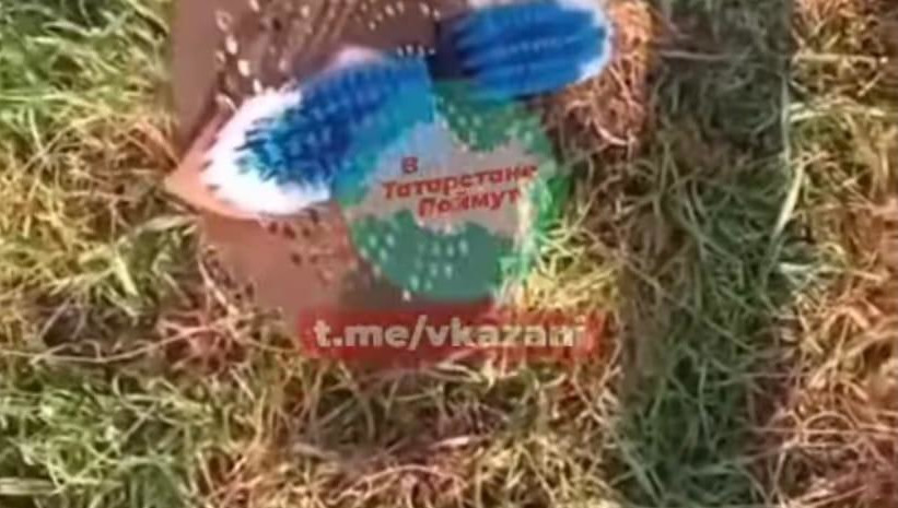 Они использовали для этого триммер.