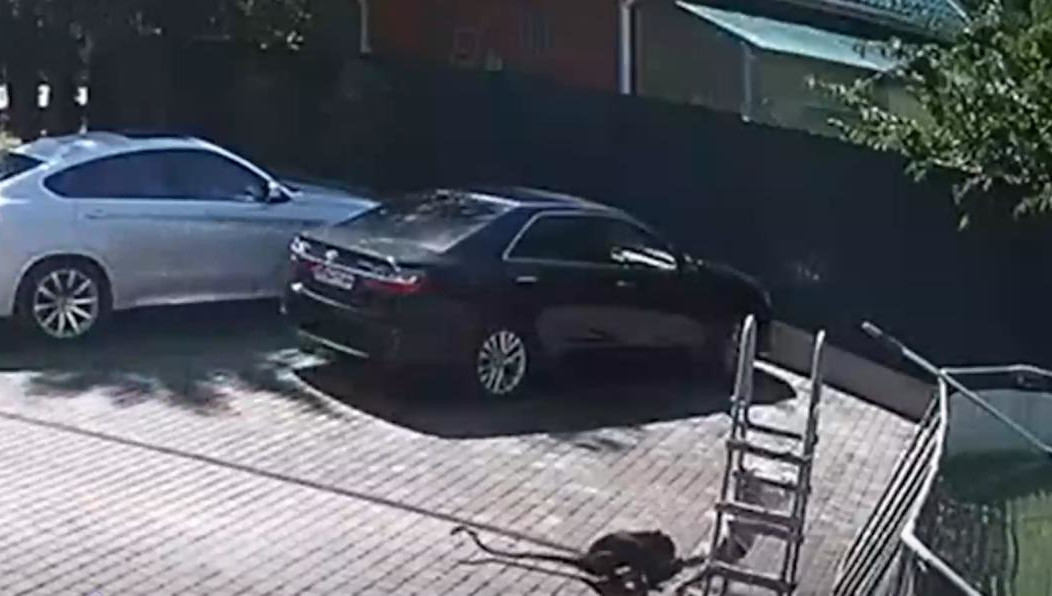 У девочки рваные раны