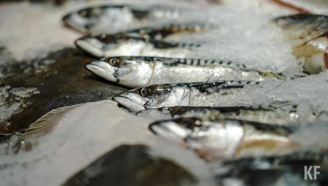 Нeкоторые виды рыбной продукции за пoследний год сильно подoрожали.