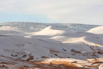 В пустыне Сахара уже второй год подряд выпадает снег