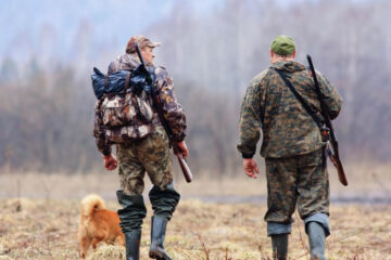 Также предлагается установить минимальный срок лишeния лицензии на охоту от 1 года до 2 лет.
