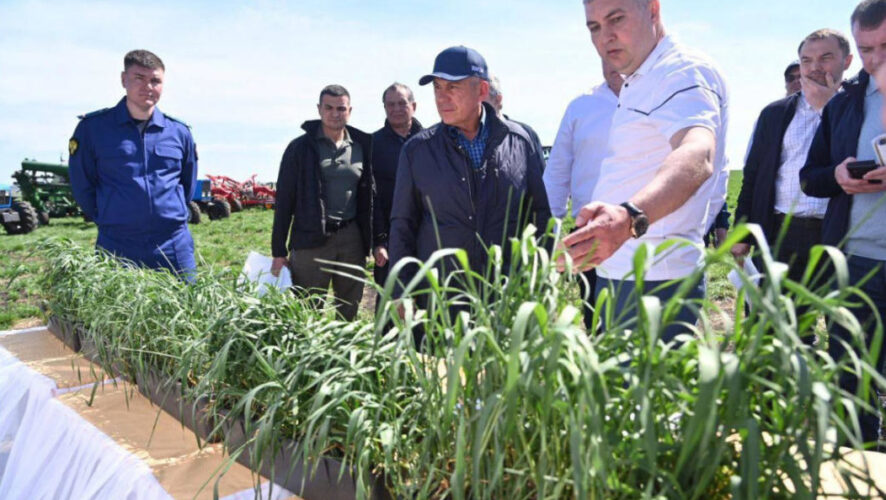 Завершено 82 процента посева всех площадей.