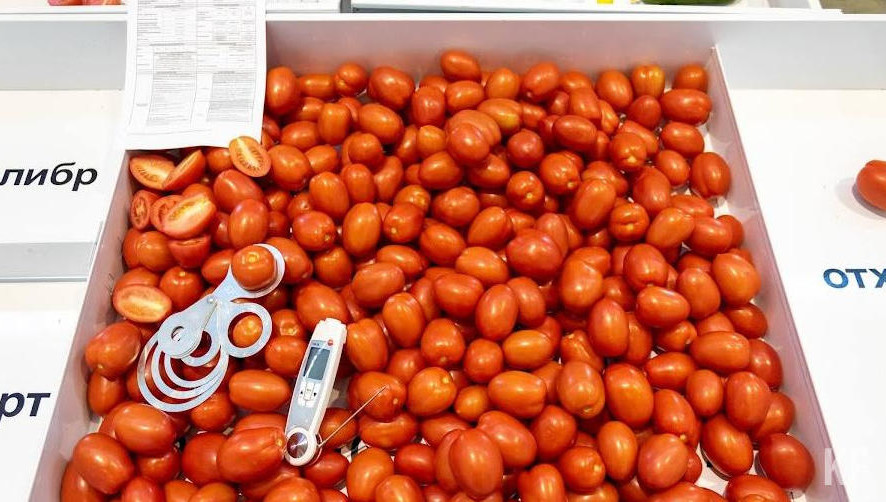 Торговлю на 15 площадках организуют в шестнадцатый раз.