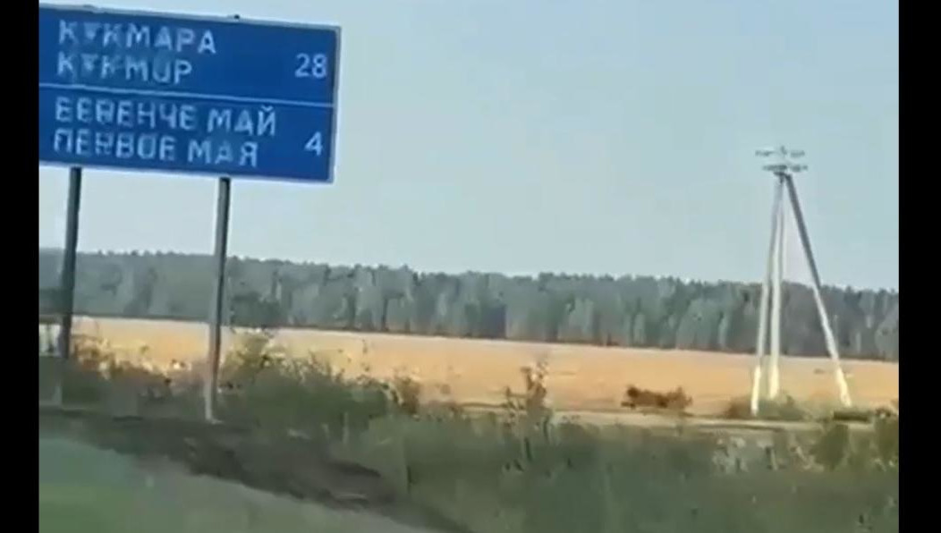 В регионе участились случаи наездов на диких животных.