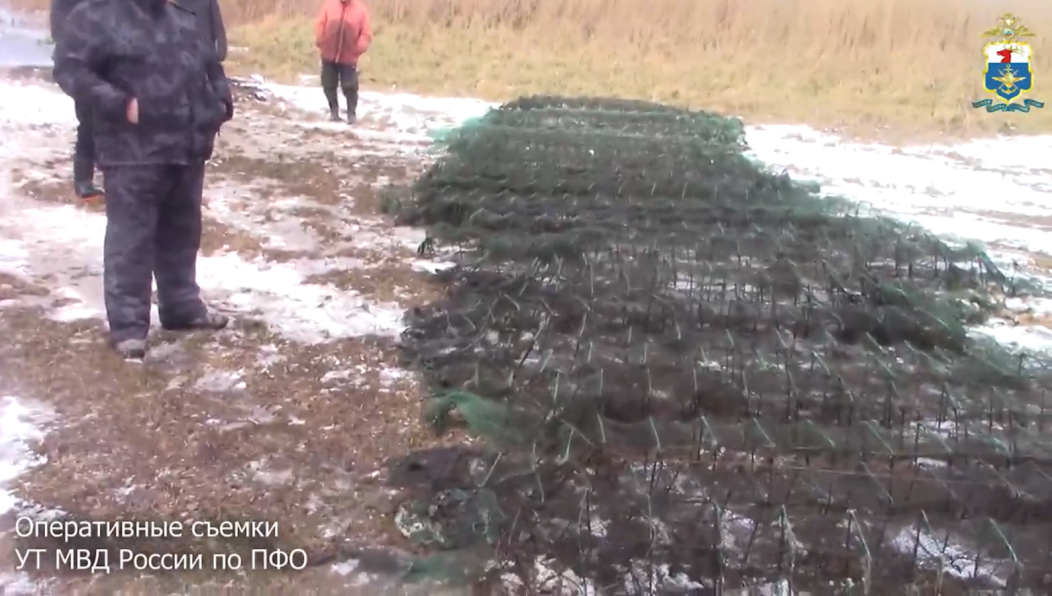 Мужчина может получить до двух лет лишения свободы.