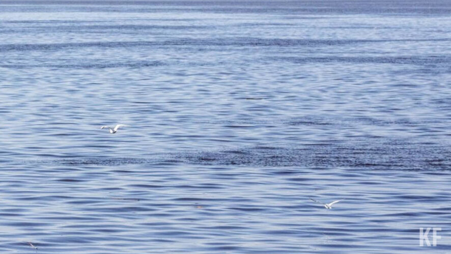 При себе у девочки был телефон