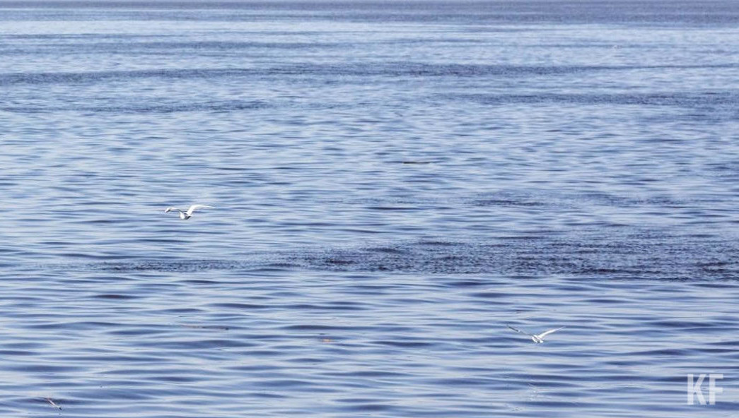 При себе у девочки был телефон
