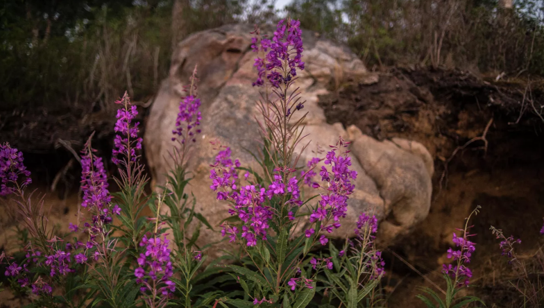 В ведомстве подчеркнули