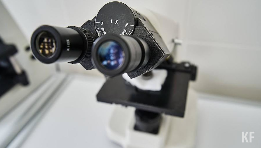 Она вызывает клещевой боррелиоз.