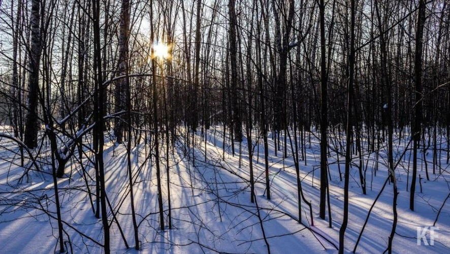 Несмотря на это