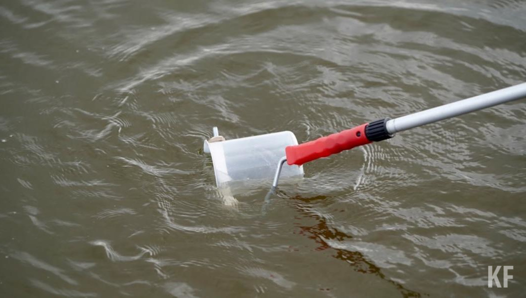 Командам-победителям