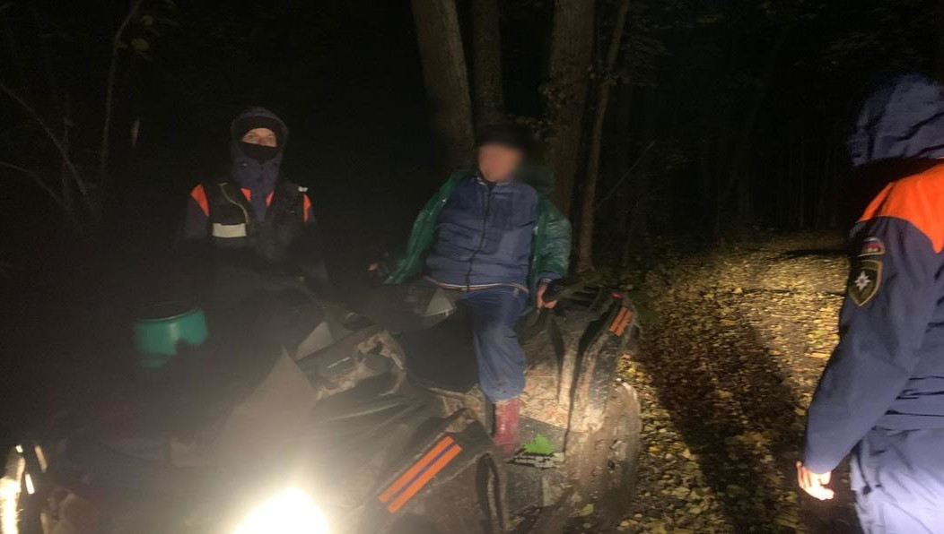 Жительница Татарстана пошла собирать грибы в одиночку.