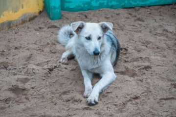 От членов рабочей группы по подготовке изменений в федеральный закон поступило более 38 тысяч 569 обращений.