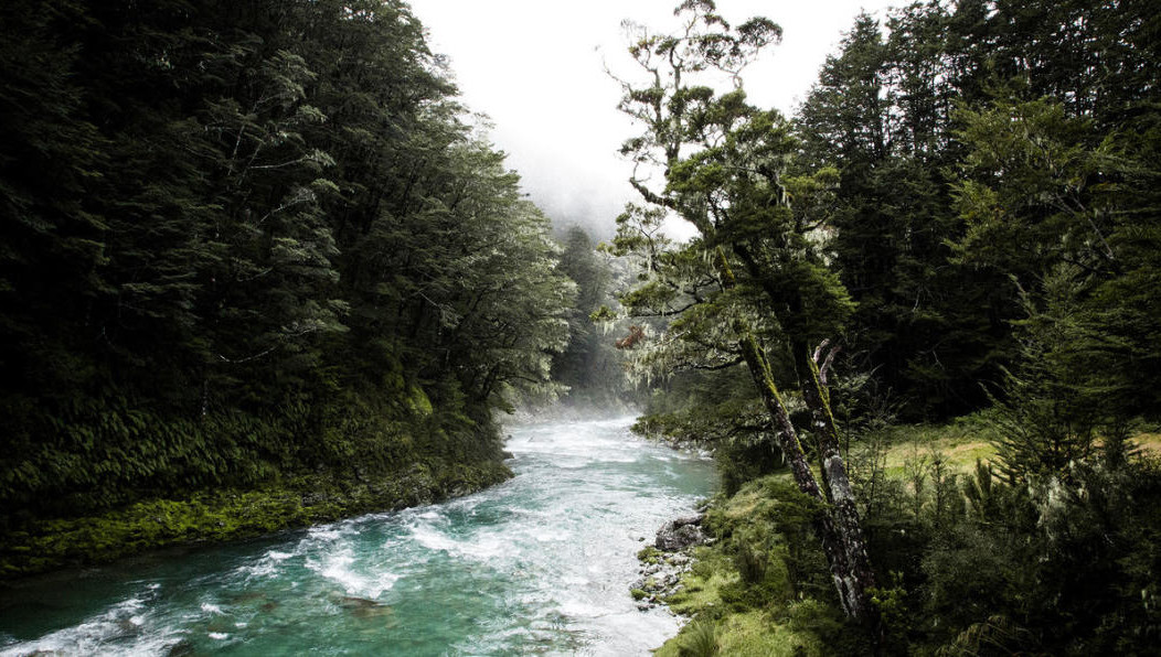 Поручение дано после совещания по вопросам долгосрочного социально-экономического развития Петропавловска-Камчатского.