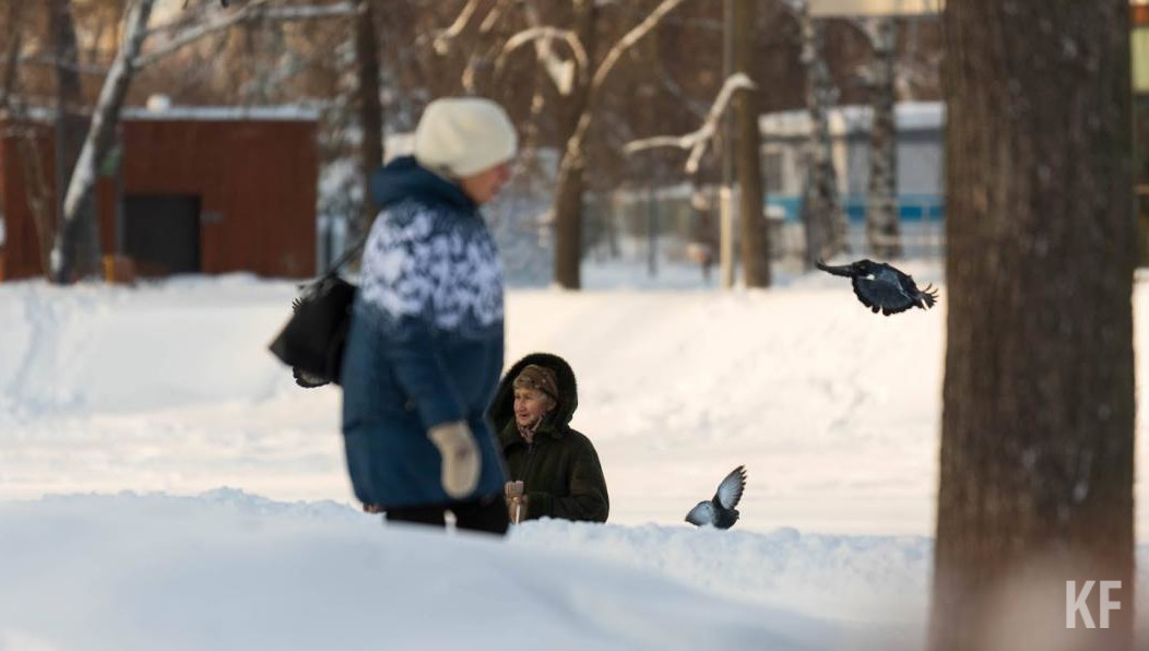 Ученые выясняют