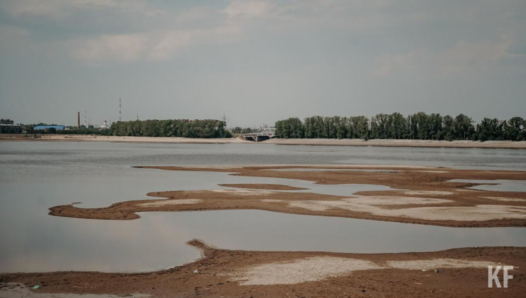 Уже изучено более 36 технологий для работы по рекультивации иловых полей.