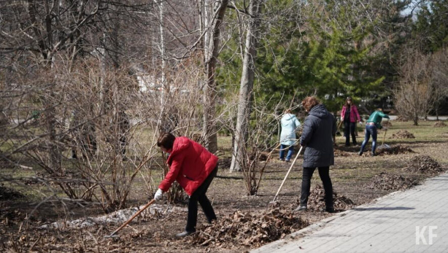 Участники очистят&nbsp;территории лесов от мусора