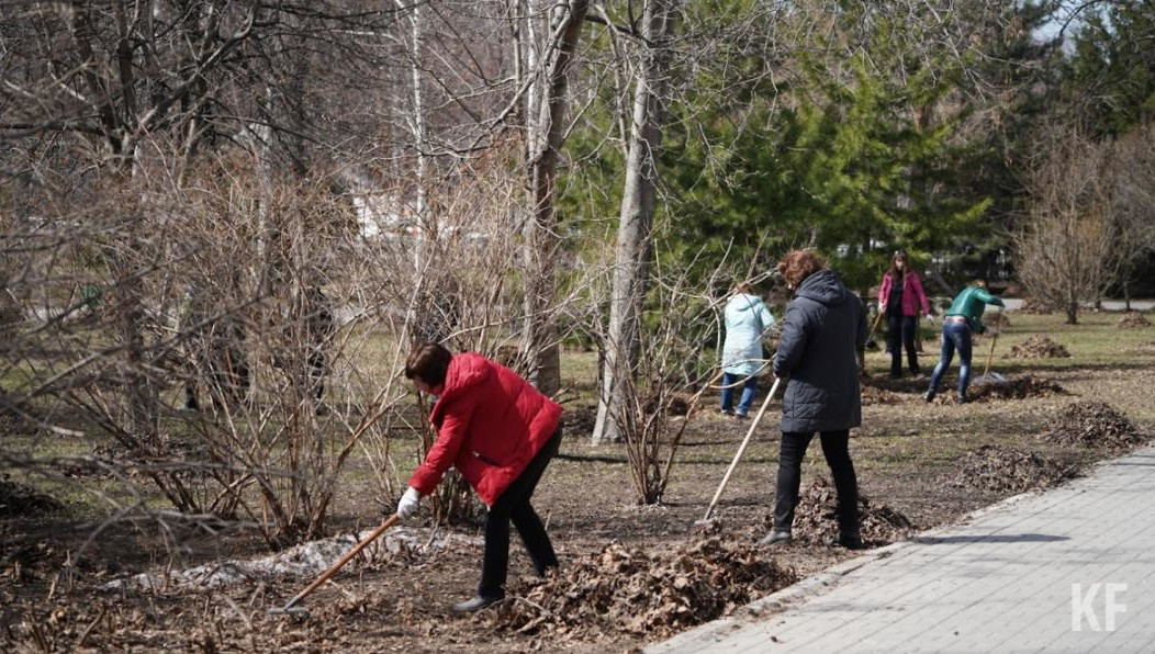 Участники очистят территории лесов от мусора
