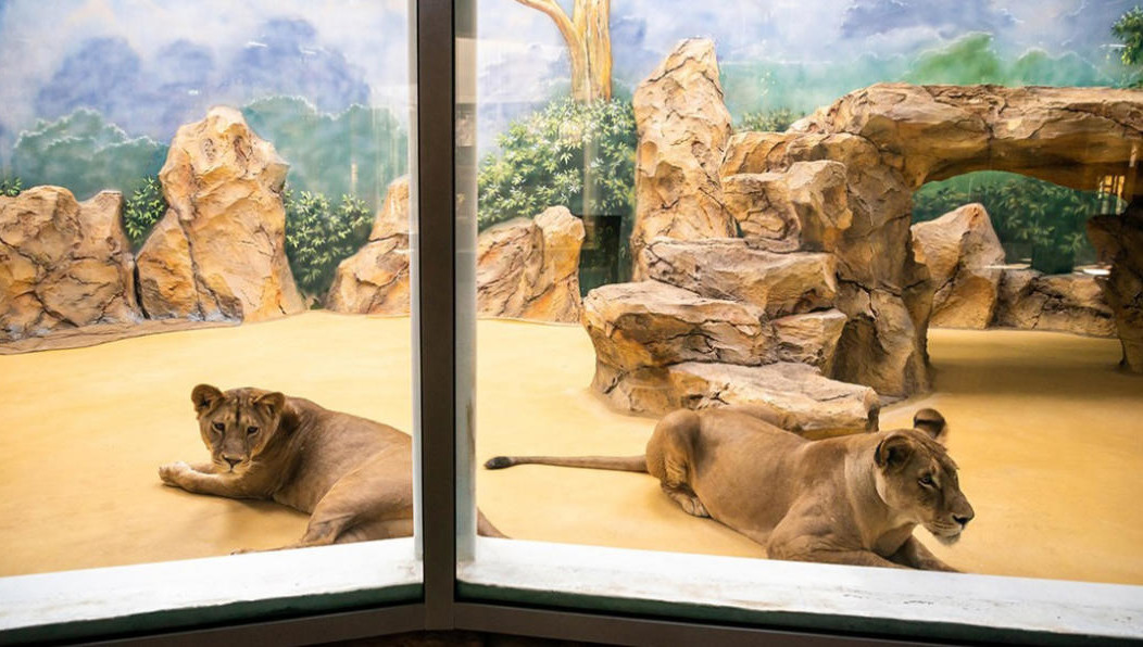 Незаконную деятельность выявило Управление Россельхознадзора по Татарстану.