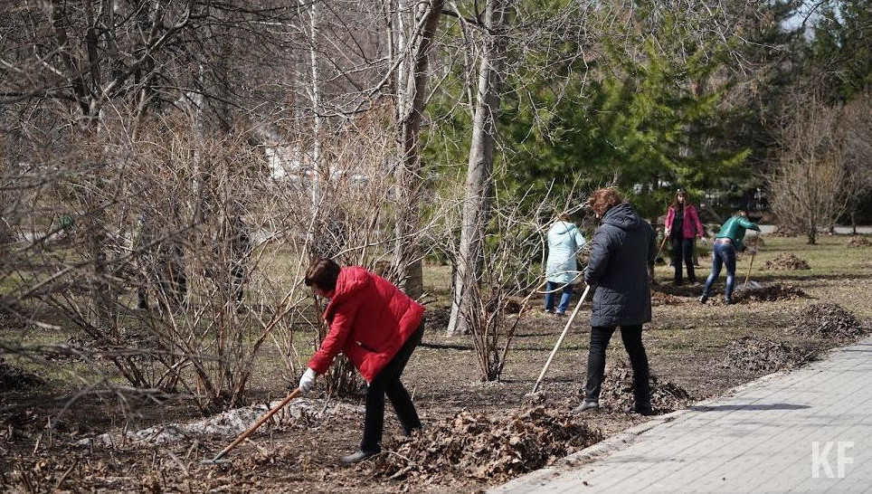 За первый месяц от мусора и листвы очистили 3970 га территории.