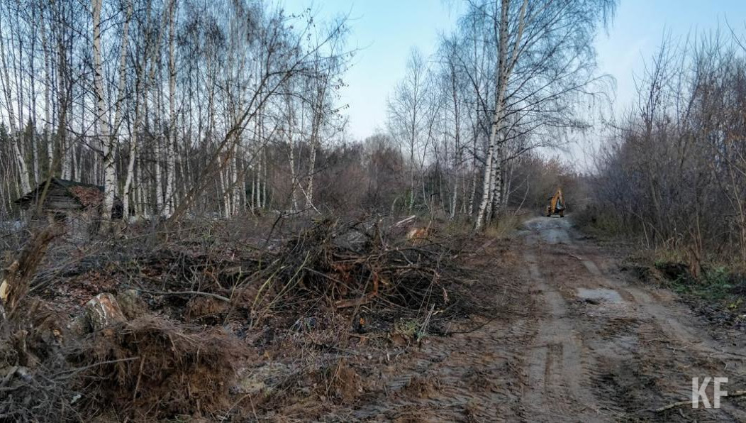 Из дебрей главный врач региона выбрался сам.