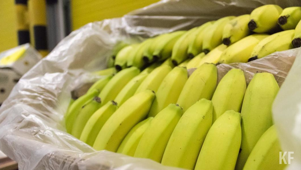 Фермеры пять недель не могли продавать и экспортировать фрукты.