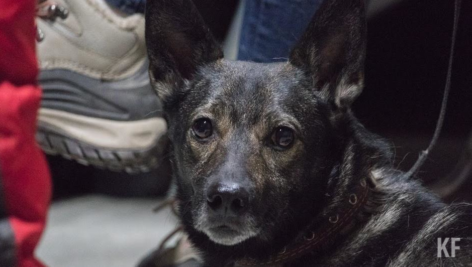 Появился график мобильного пункта до конца августа.