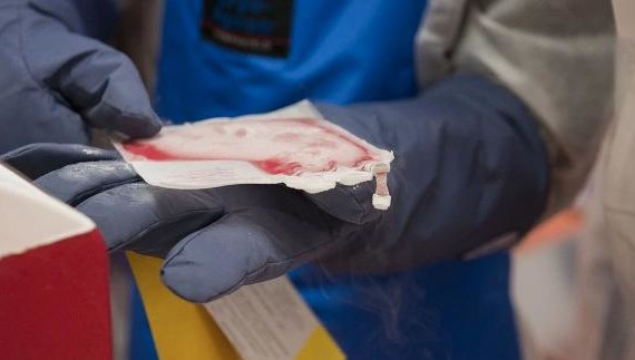 В РФ &laquo;Кимрайя&raquo; получила свидетельство о регистрации по правилам ЕАЭС.