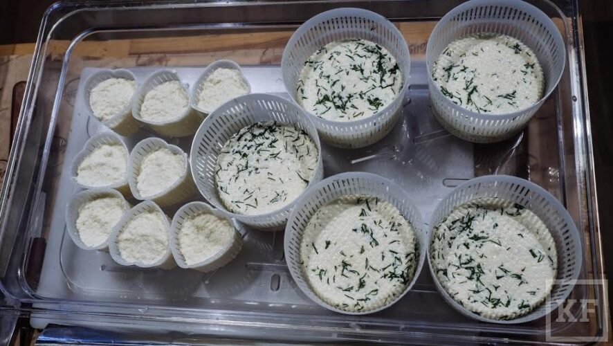 Минсельхоз России предлагает запретить производство и продажу сыров