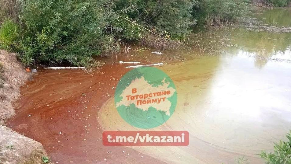 Пользователи в соцсетях предположили