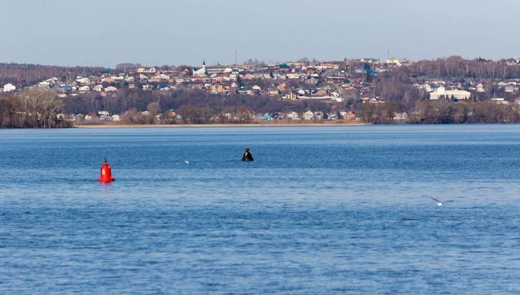 Мужчина бросился в воду