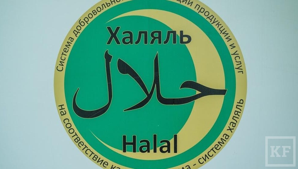 На совещании по вопросу реализации проекта центра халяльного туризма в Камском Устье обсудили условия для отдыха мусульман в соответствии с требованиями ислама и всех туристов