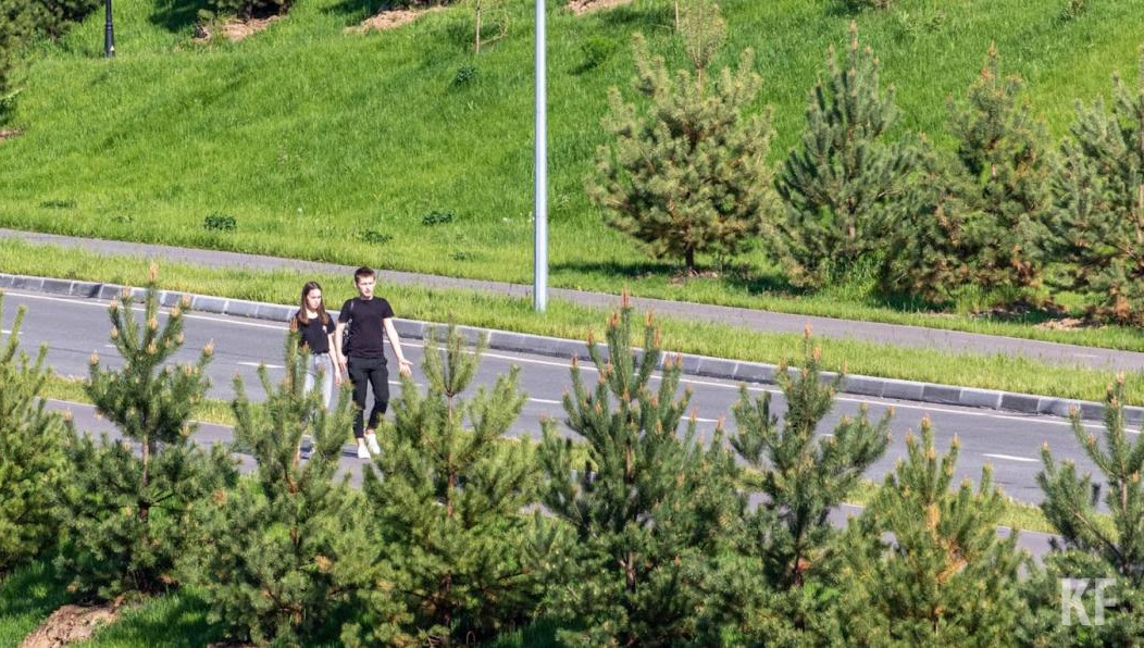 Новые земли будут использоваться для рекреационных целей