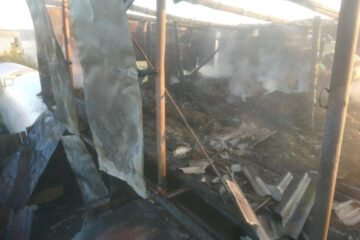 Животные во время пожара были на пастбище.