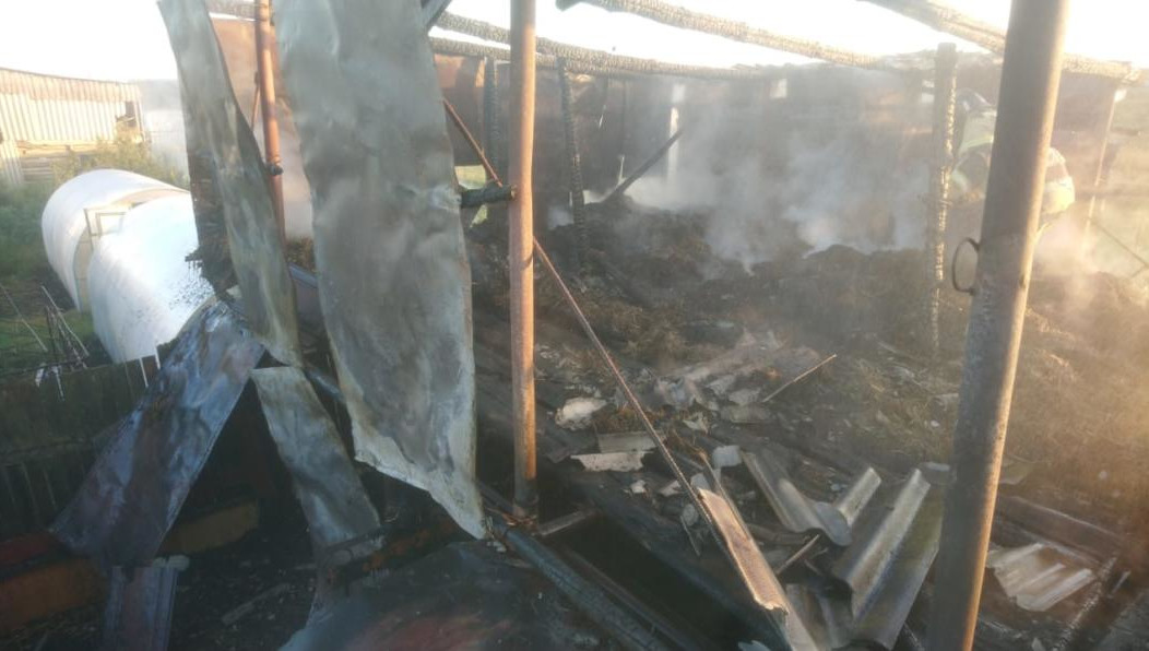 Животные во время пожара были на пастбище.