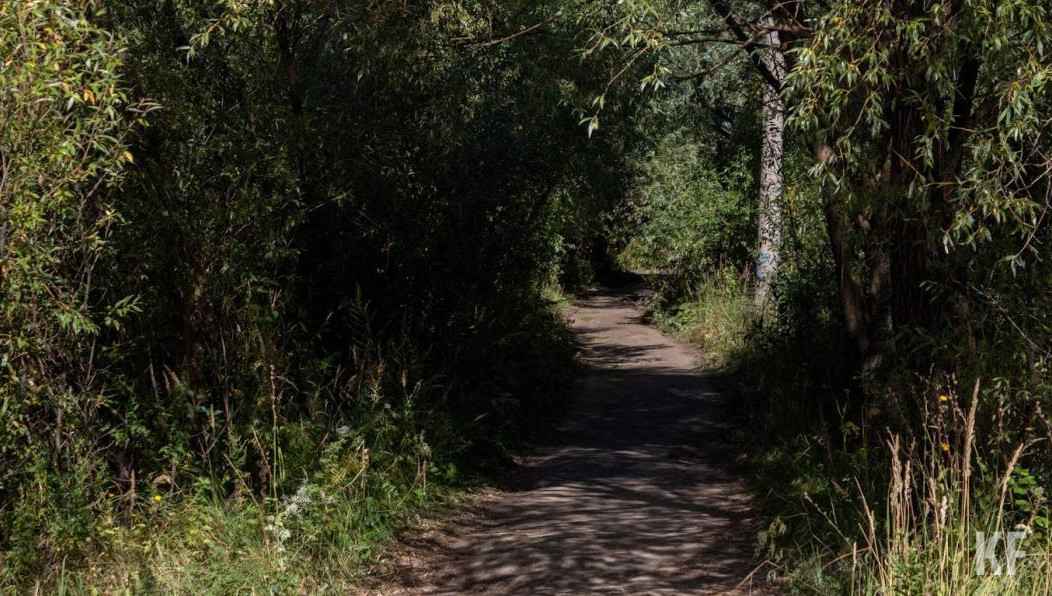 Тревогу по поводу пропажи бабушки забили родственники.