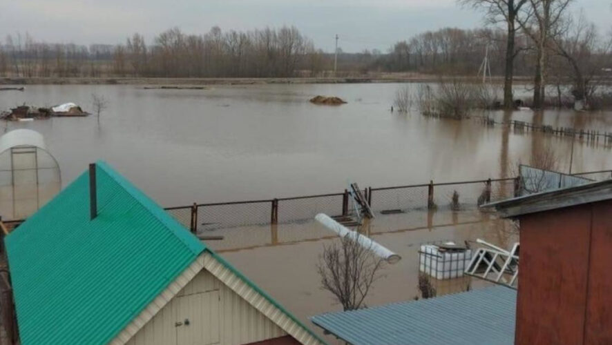 Завершить строительство планируют до 1 августа.