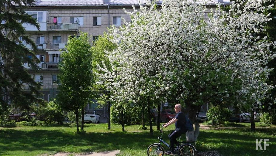 Ее симптомы может облегчить ношение масок при прогулках на свежем воздухе.