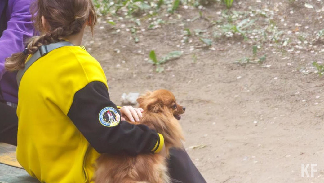 Акция пройдет в парке Урицкого.