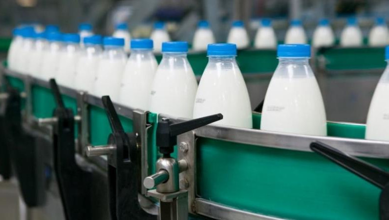 Валовой надой молока за день на сегодняшний день составляет – 4003