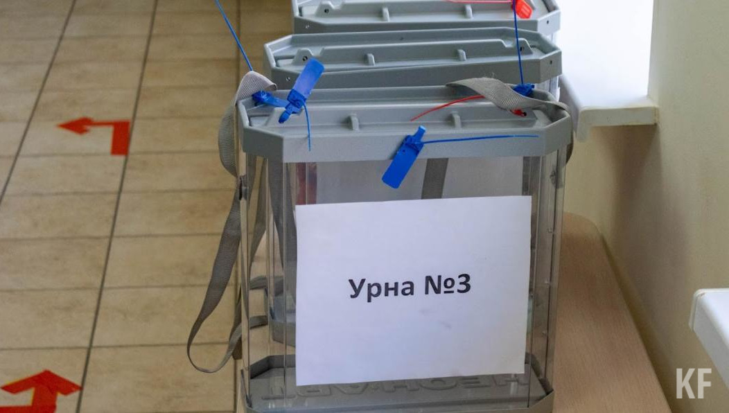 Политики также раскритиковали поправки о принципах организации местного самоуправления