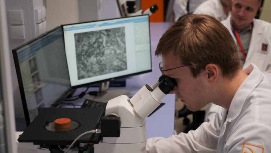 Конкурс проводится в трех категориях и 12 номинациях.