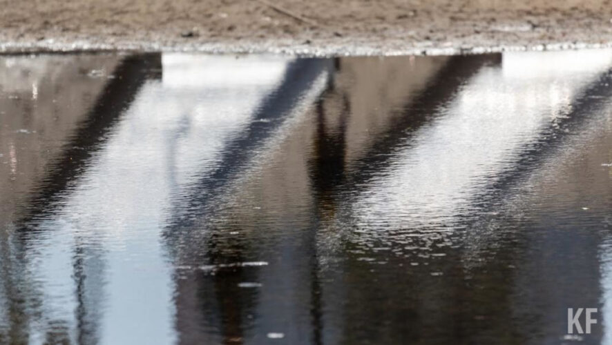 Речь идет о паводковой ситуации.